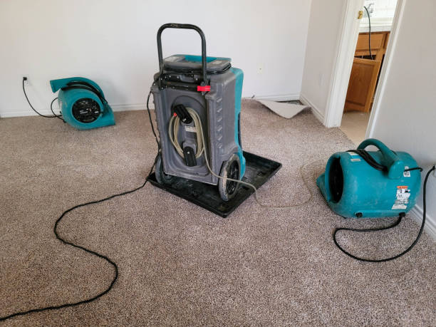 Minster, OH Water damage restoration Pros