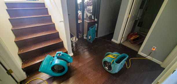 Best Professional water damage repair  in Minster, OH