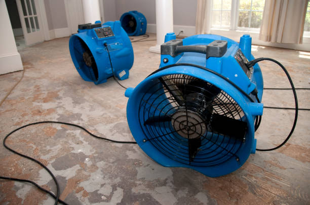 Best Commercial water damage restoration  in Minster, OH