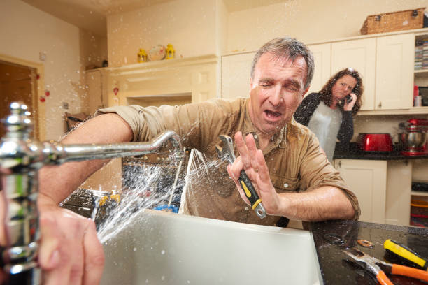 Best Flooded house restoration  in Minster, OH